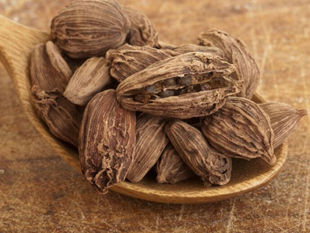 Big Cardamom