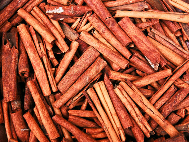 Cassia