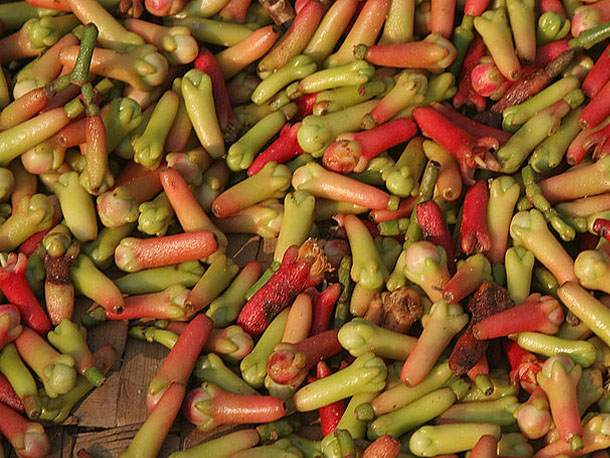 Cloves