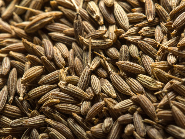 Cumin Seed