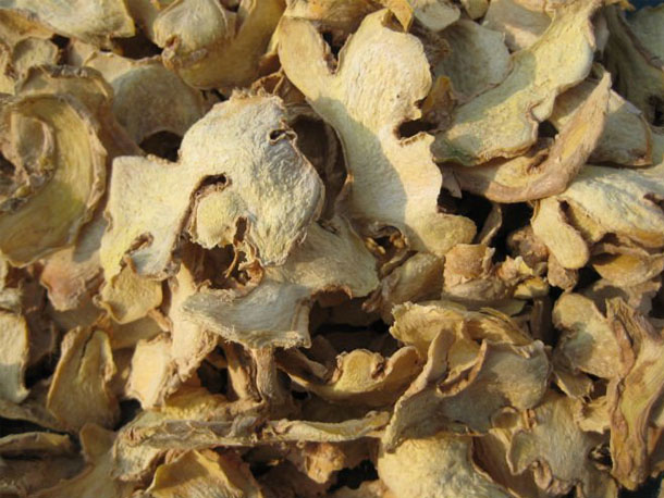 Dried Ginger