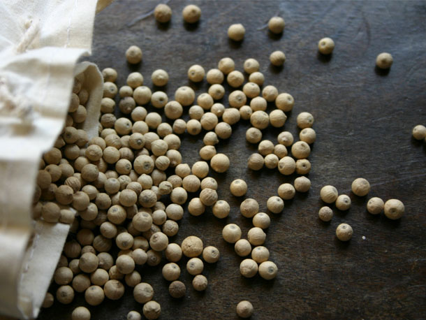 White Pepper