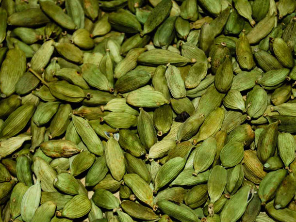 cardamom