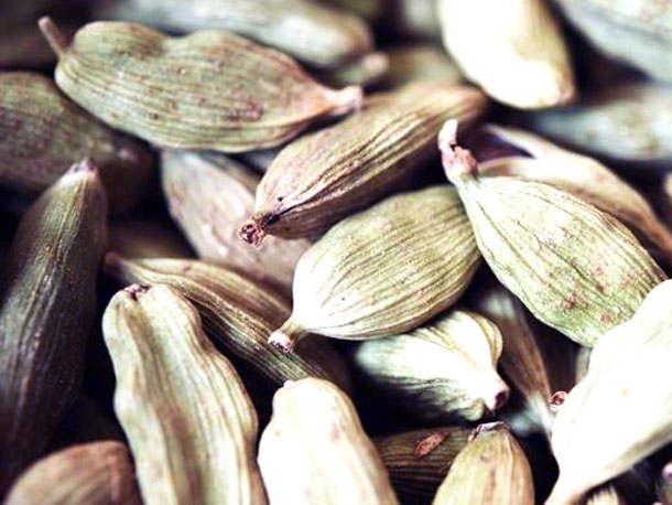 cardamom