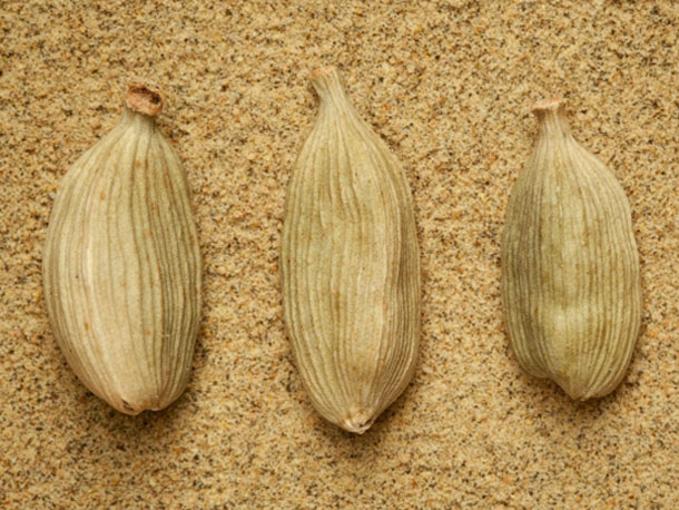 cardamom
