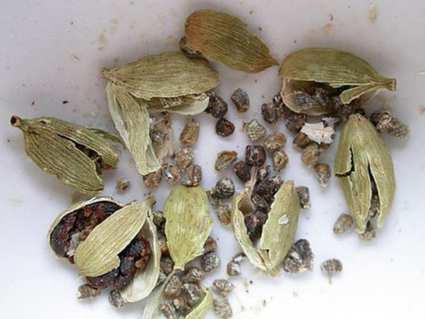 cardamom