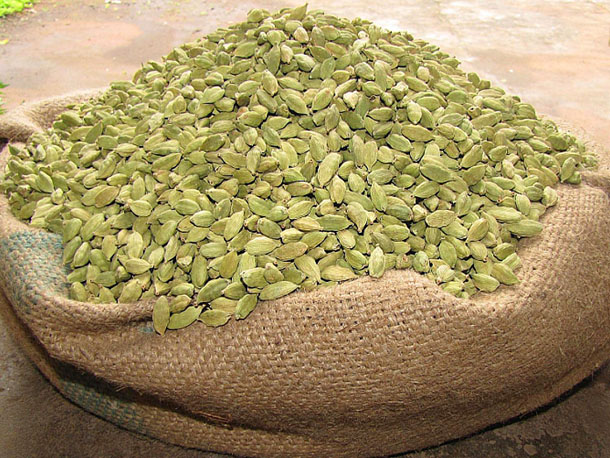 cardamom