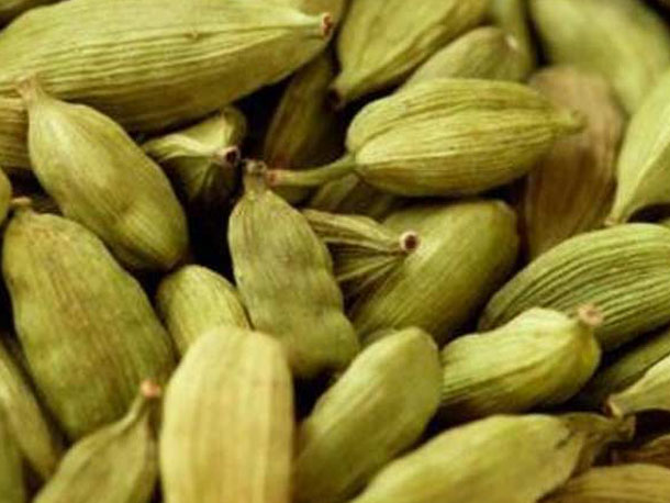 cardamom